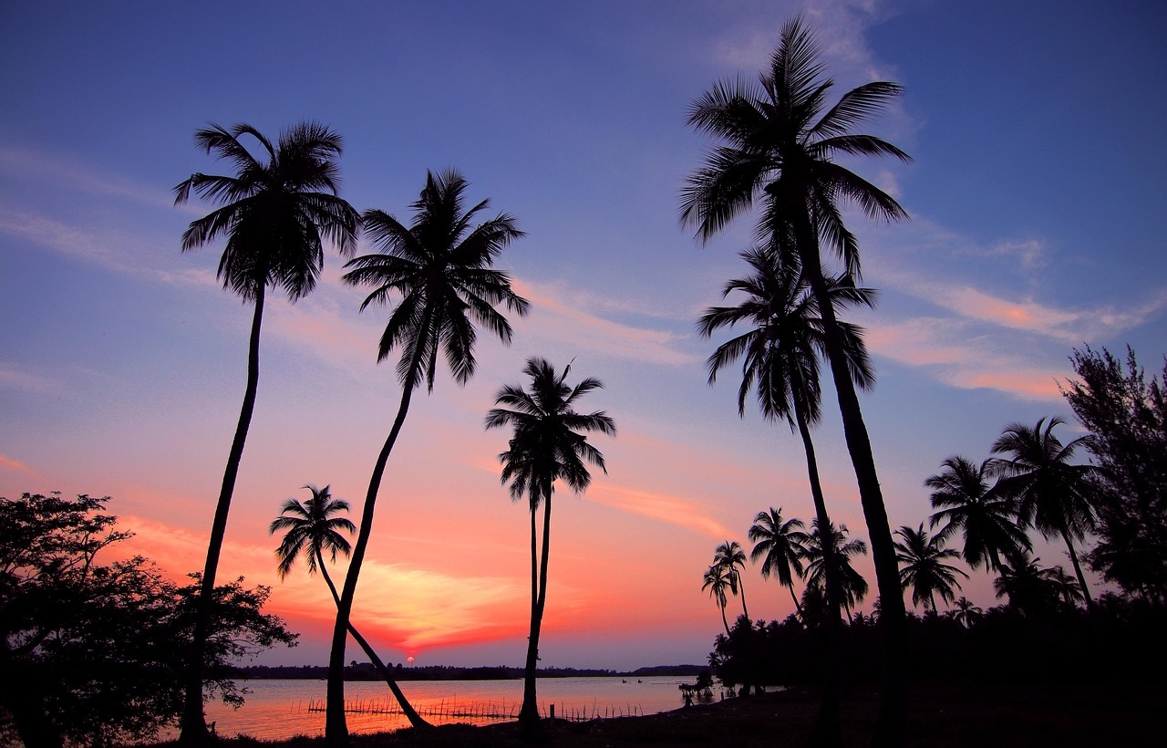 https://ofertas.viajespalcaribe.com/viajes/assets/upload/d2588.jpg
