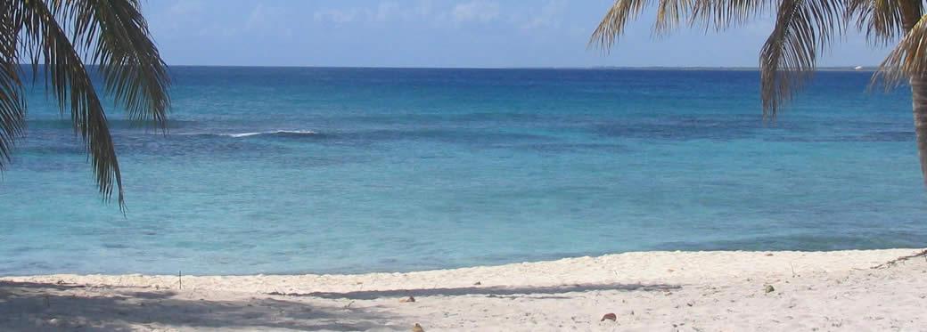 https://ofertas.viajespalcaribe.com/viajes/assets/upload/d5791.jpg