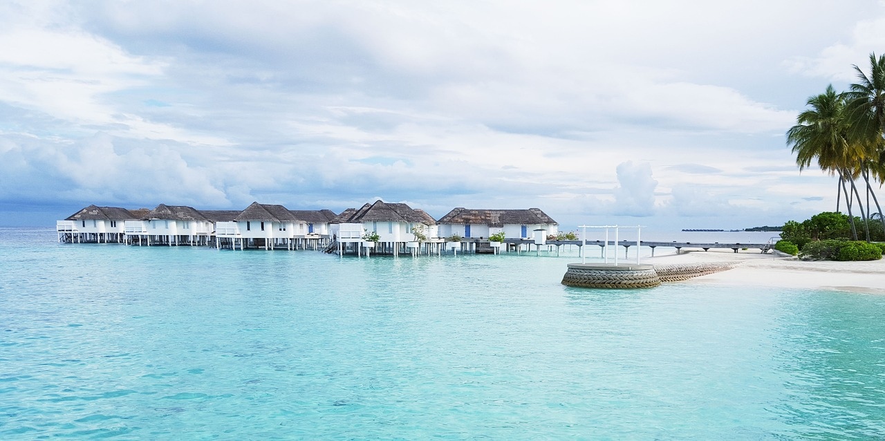 https://ofertas.viajespalcaribe.com/viajes/assets/upload/d833.jpg